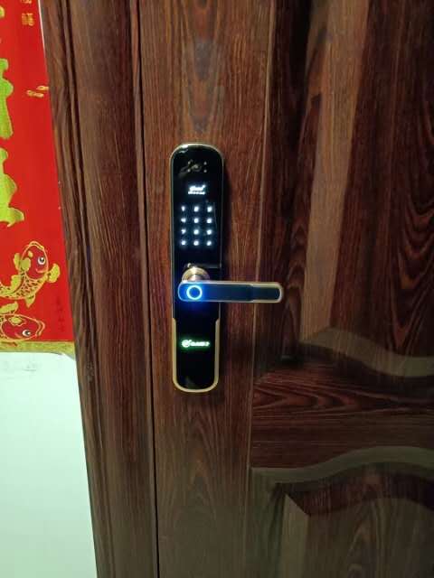 缩略图 8