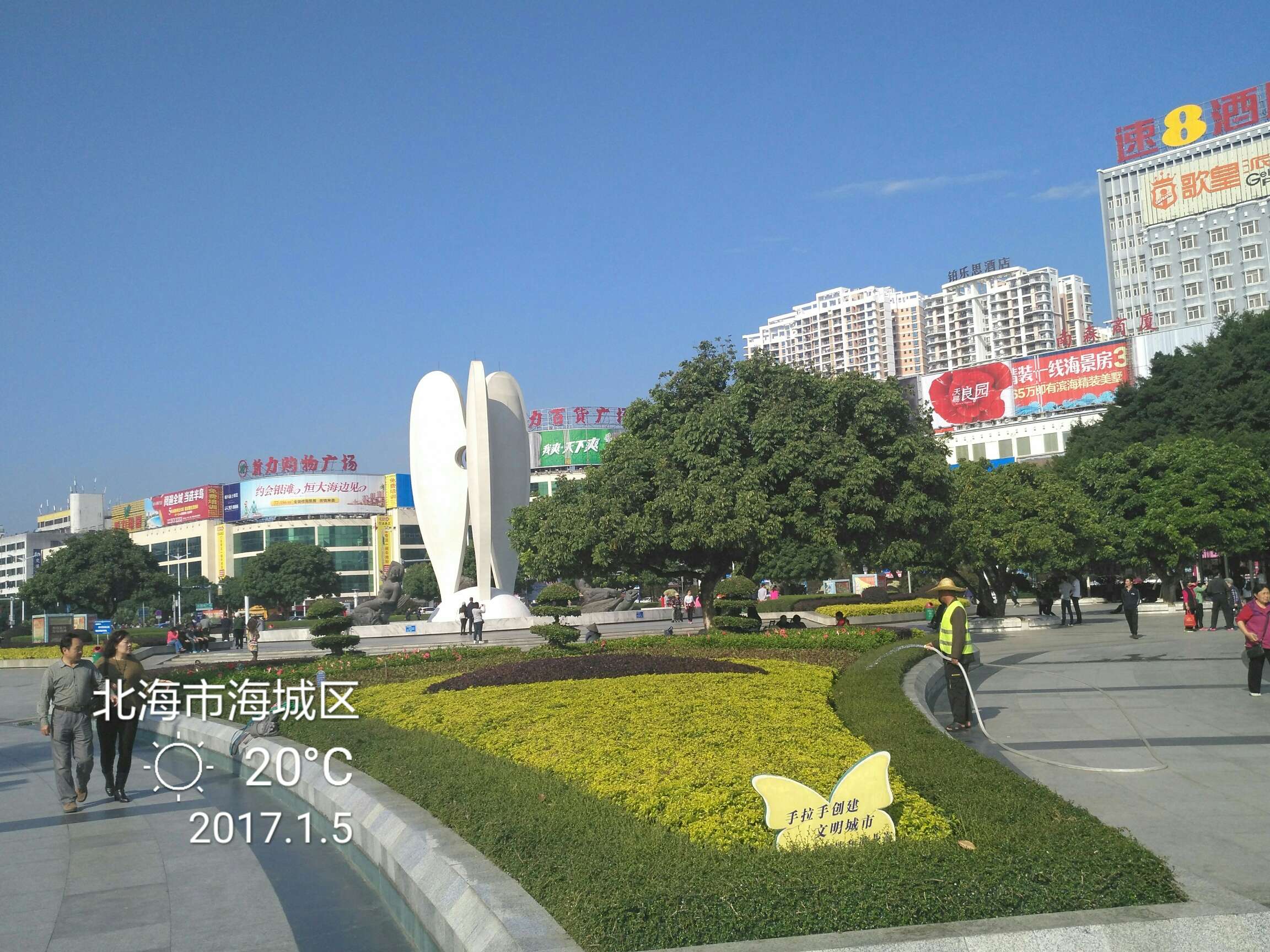 图片