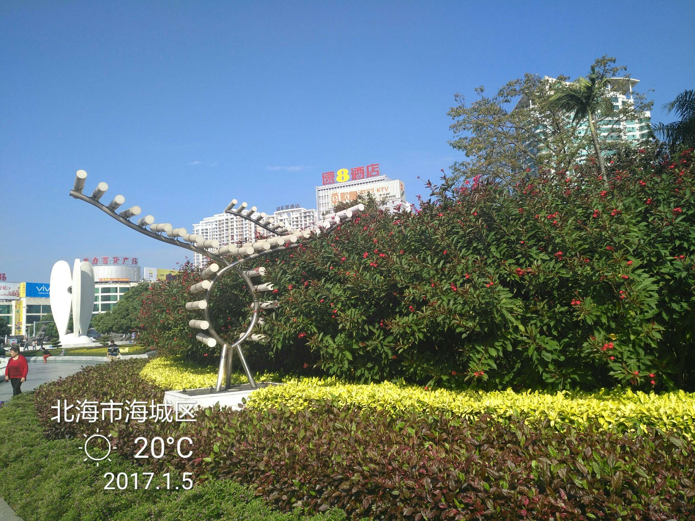图片