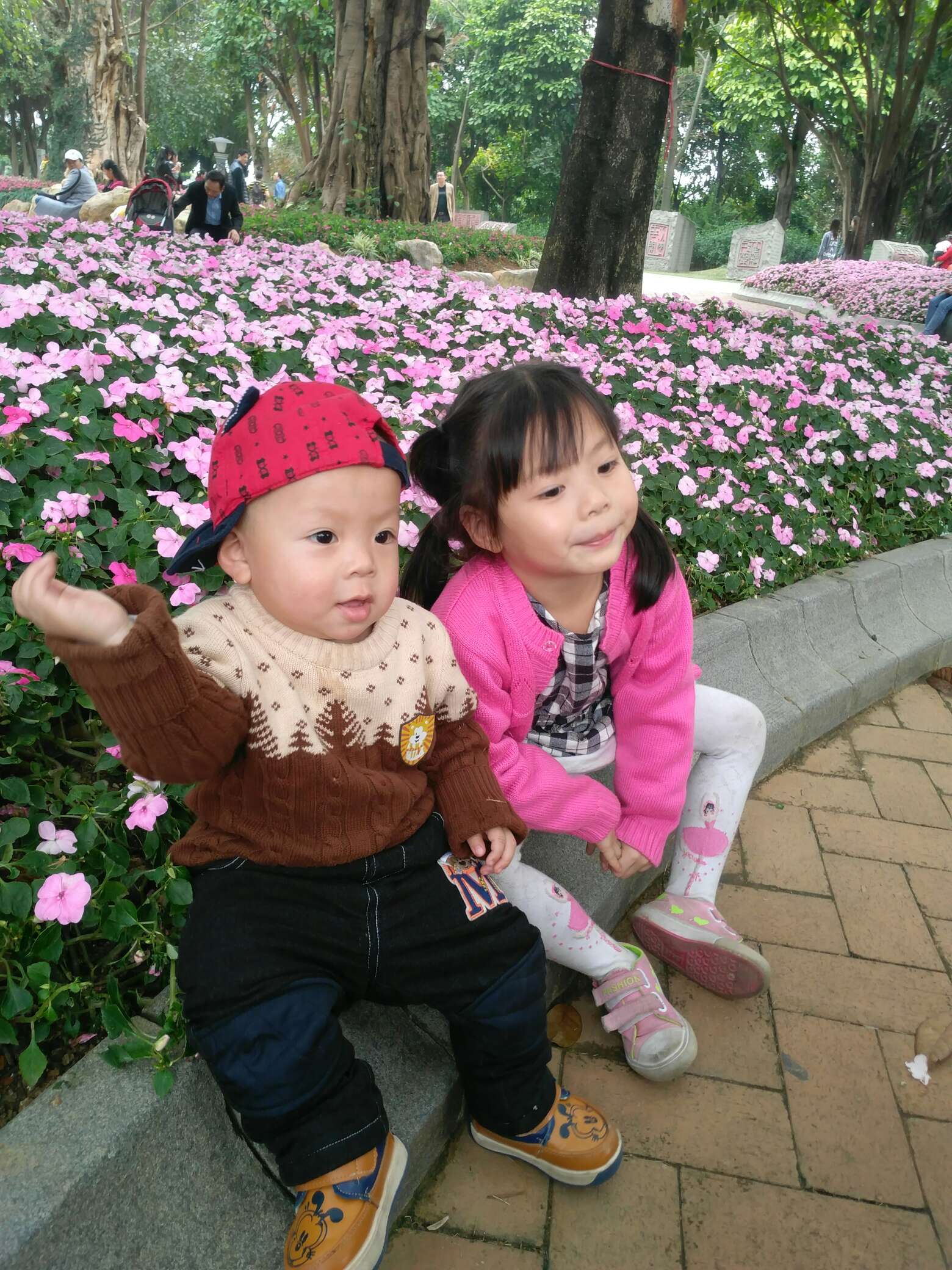 图片