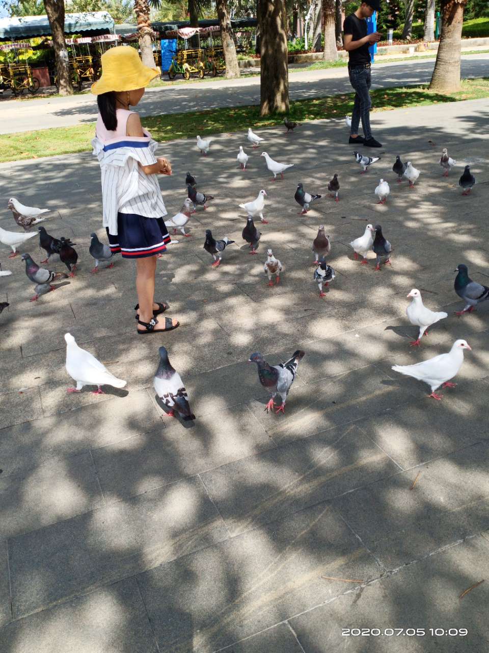 图片