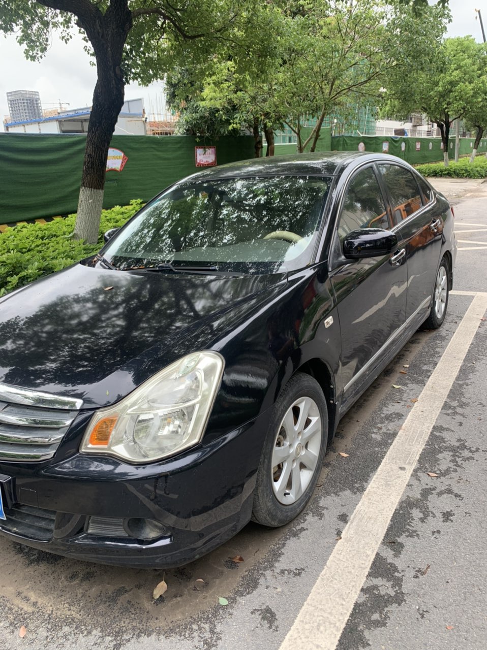 缩略图 5