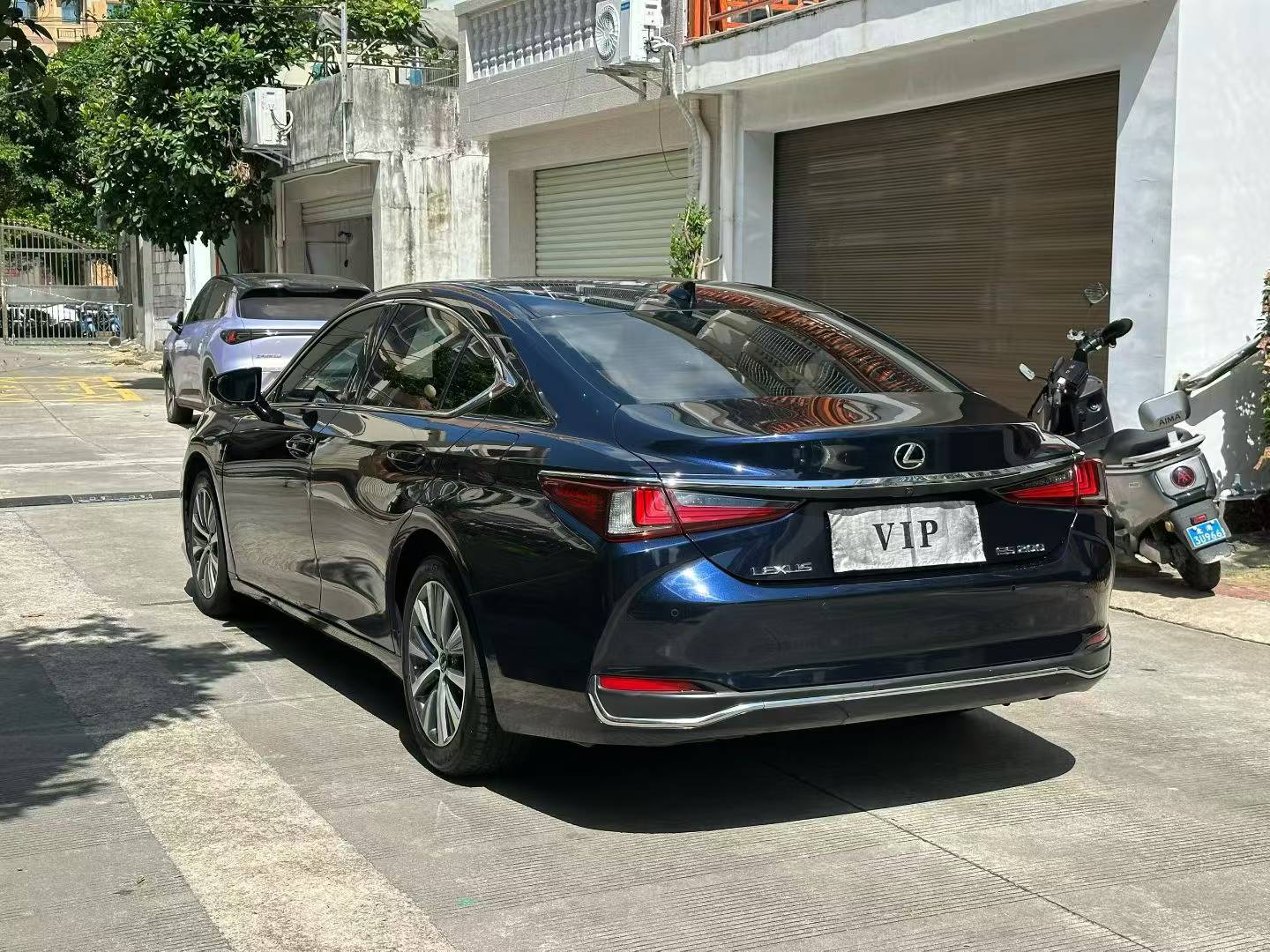 缩略图 7