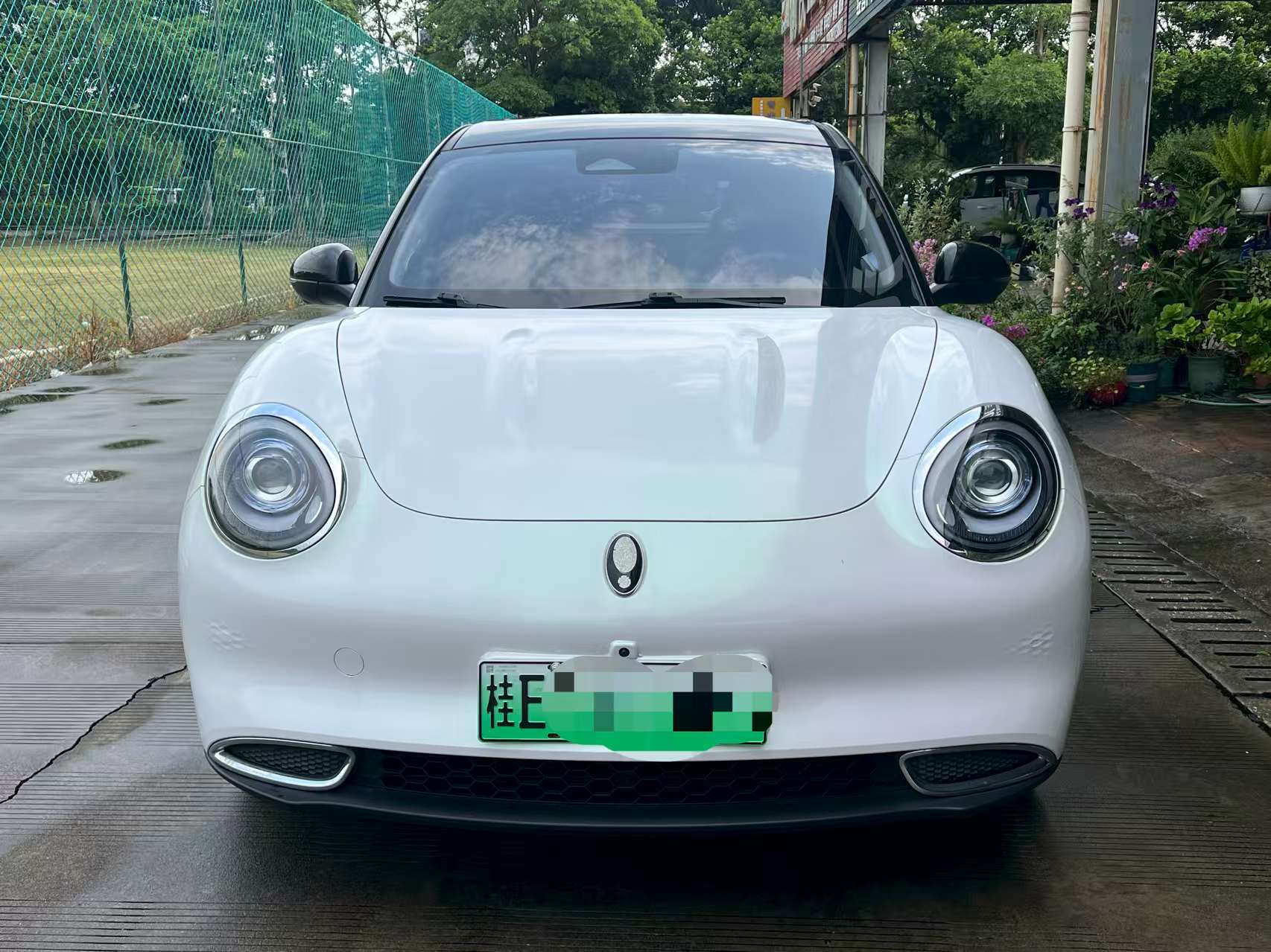 图片 5