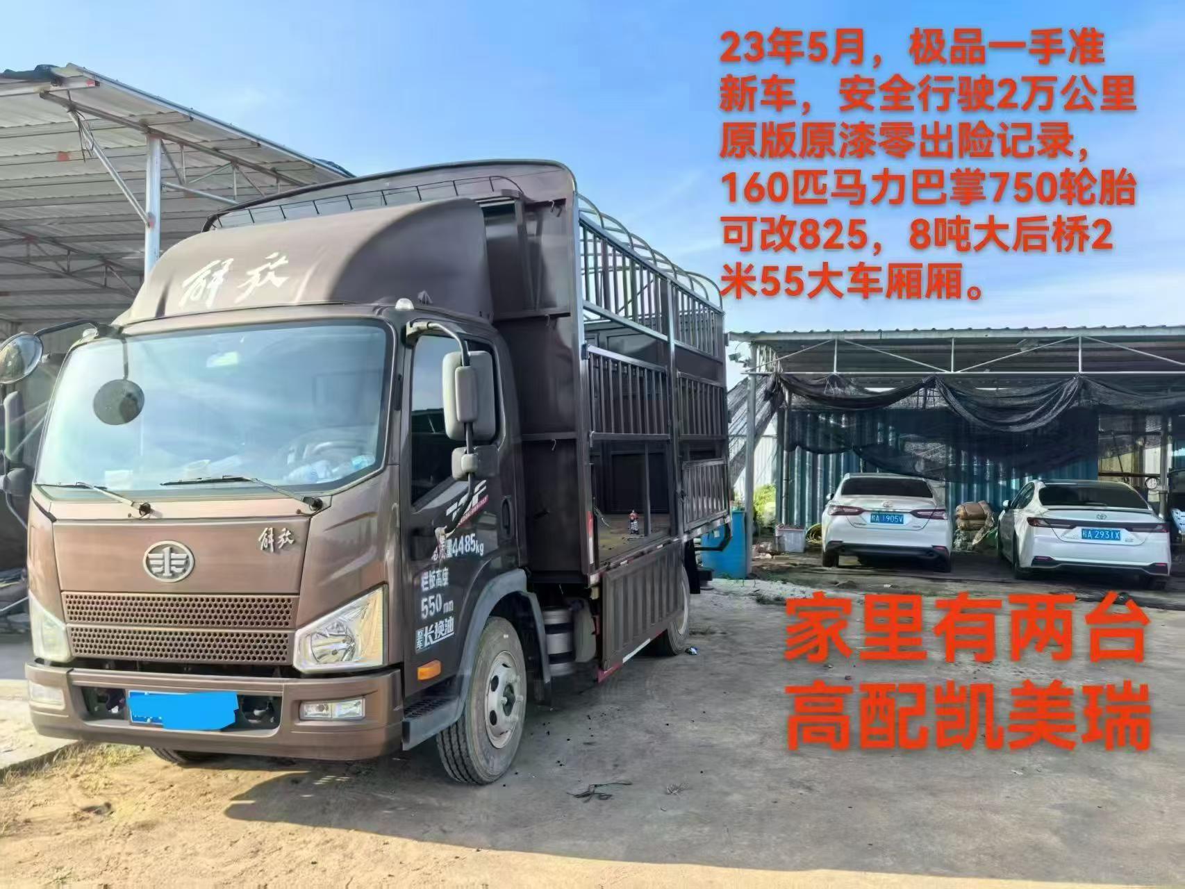 缩略图 7