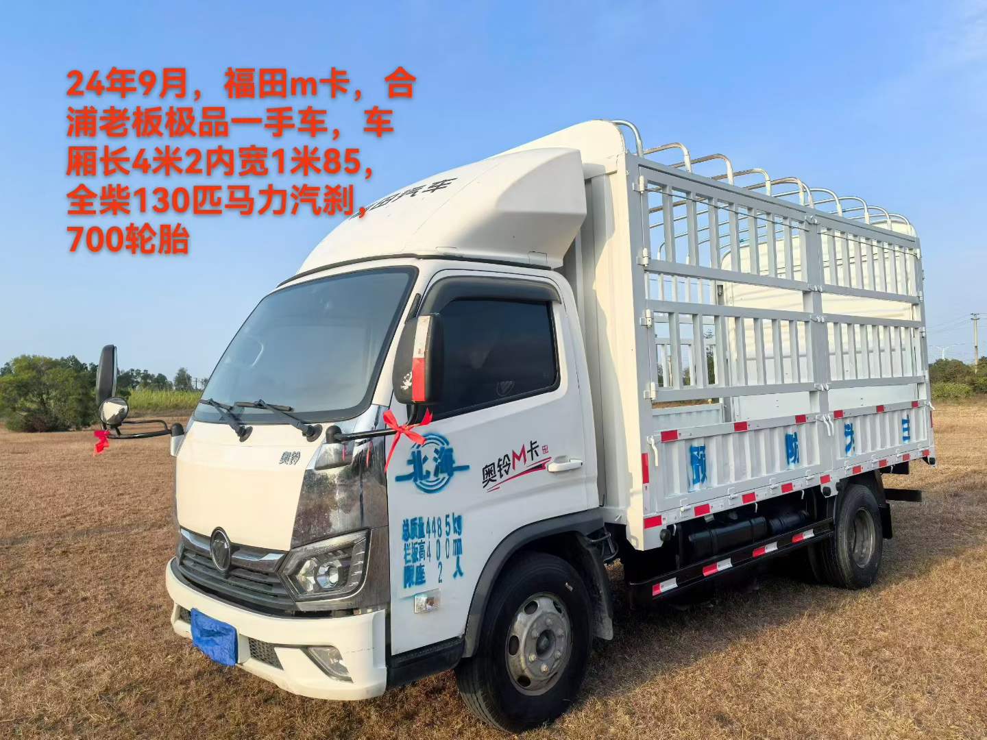 缩略图 8