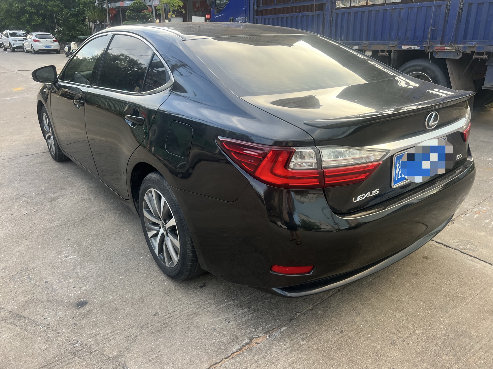 缩略图 6