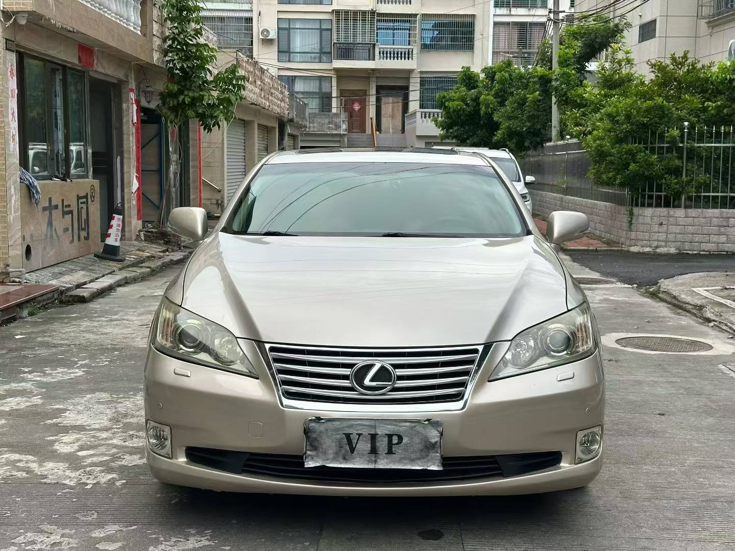 缩略图 8