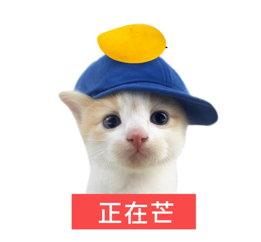 zzzC