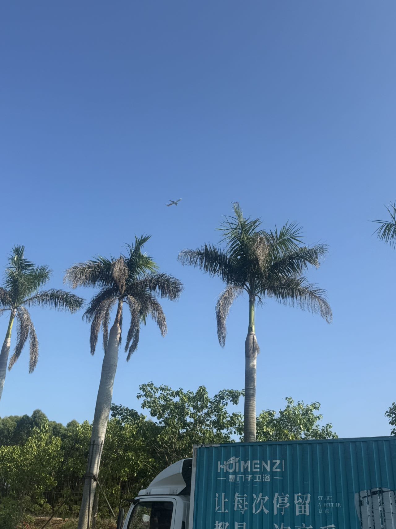 不知名向阳