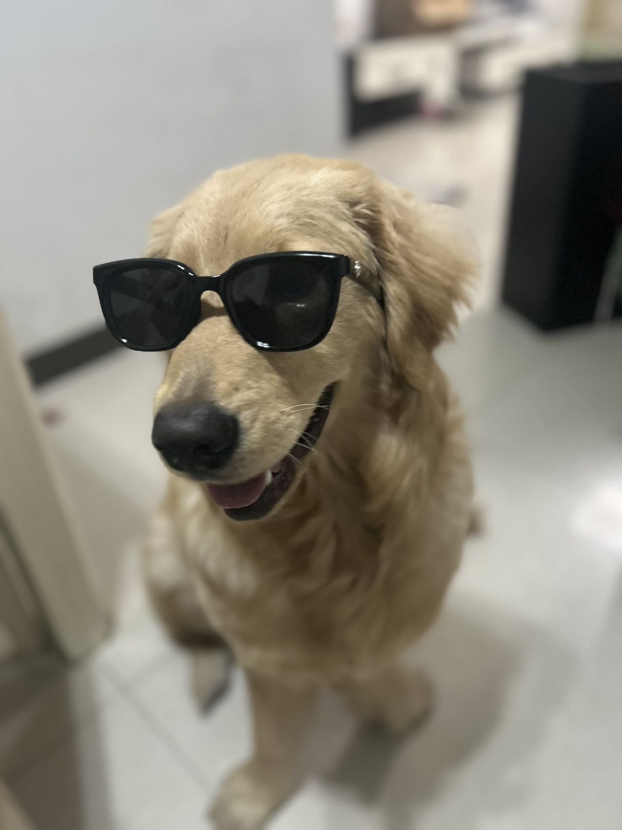时来运转l