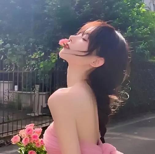 蔷薇花