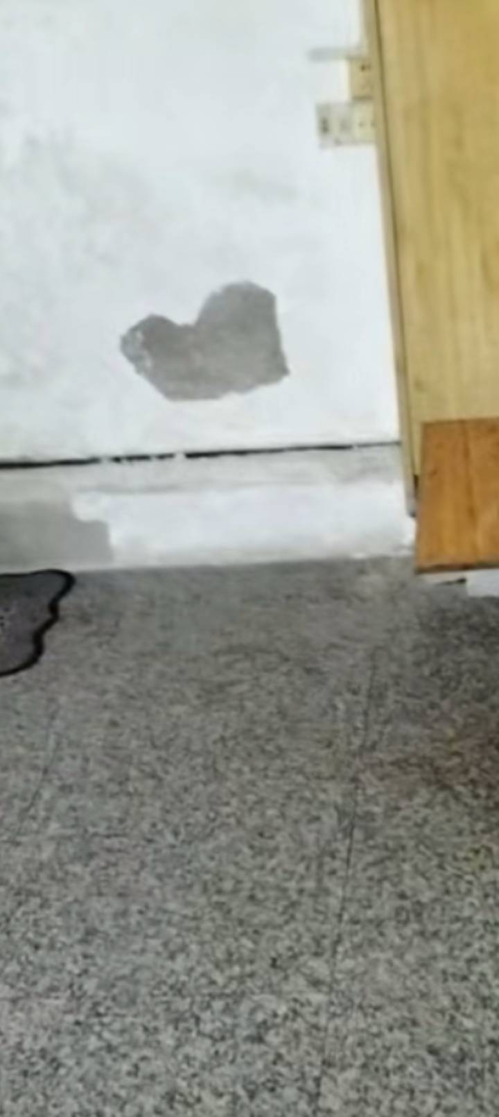 洛奇1