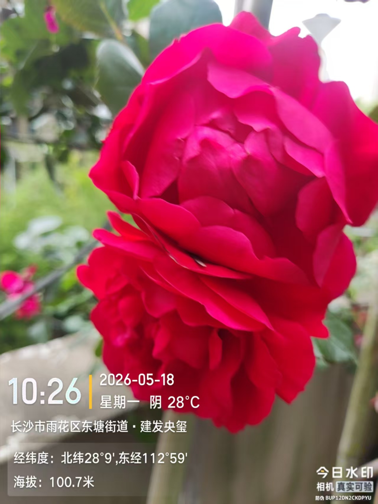 海韵30