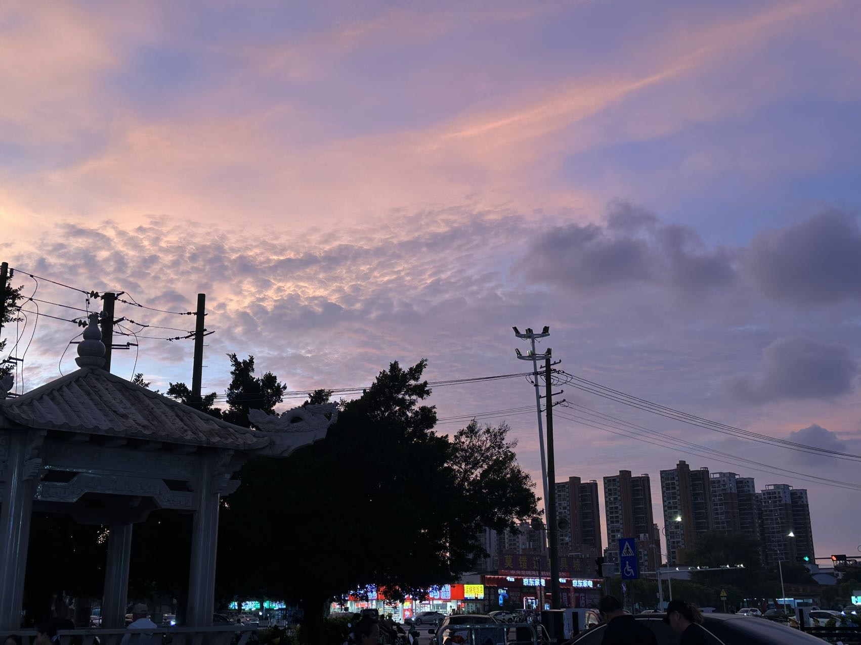 董董113
