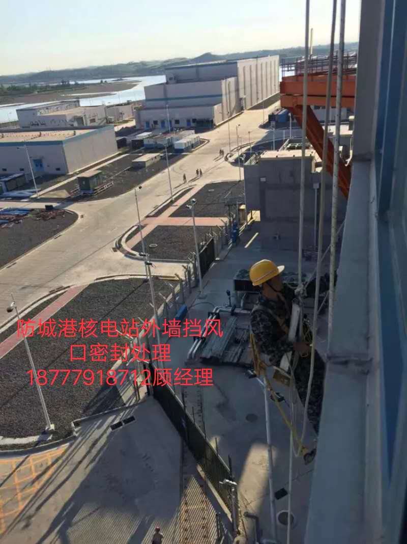 缩略图 4