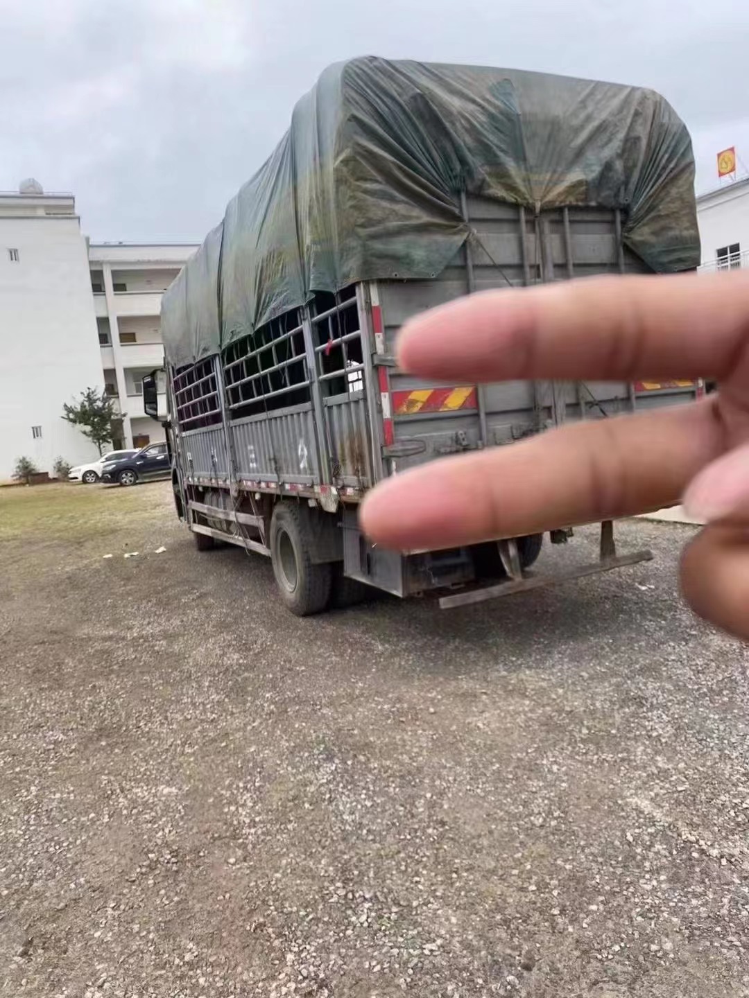 缩略图 2