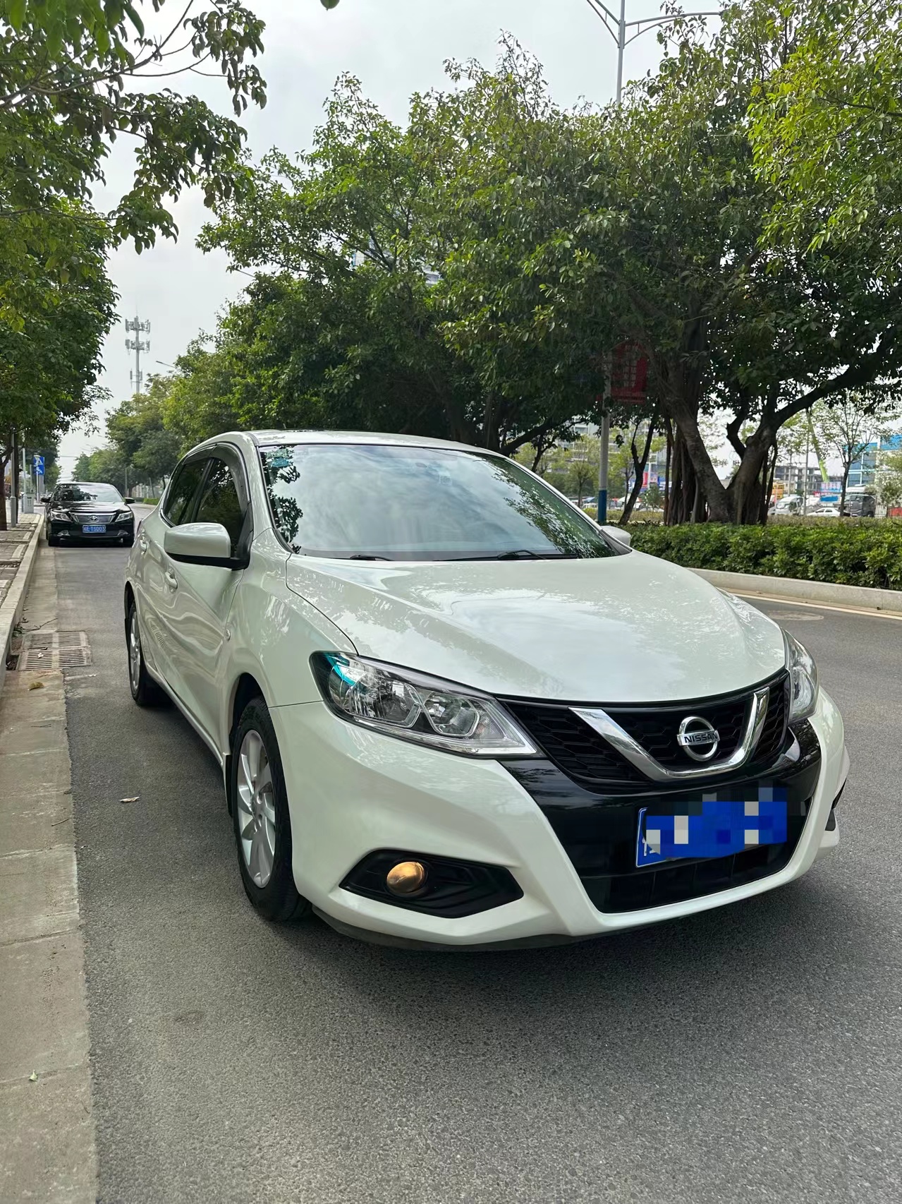 缩略图 9