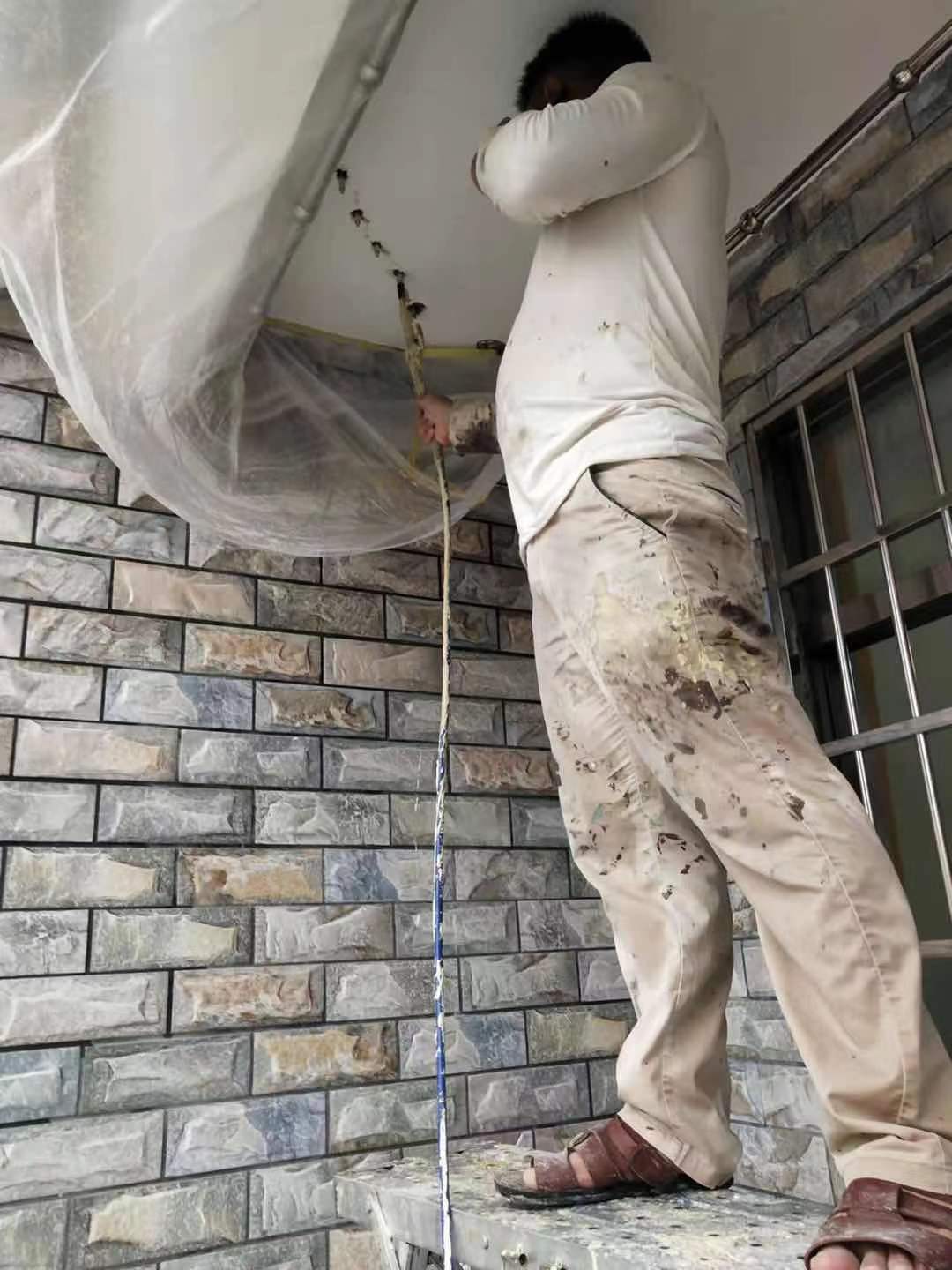 图片 8