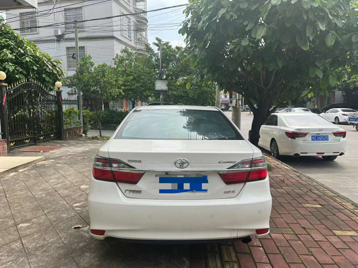 缩略图 9