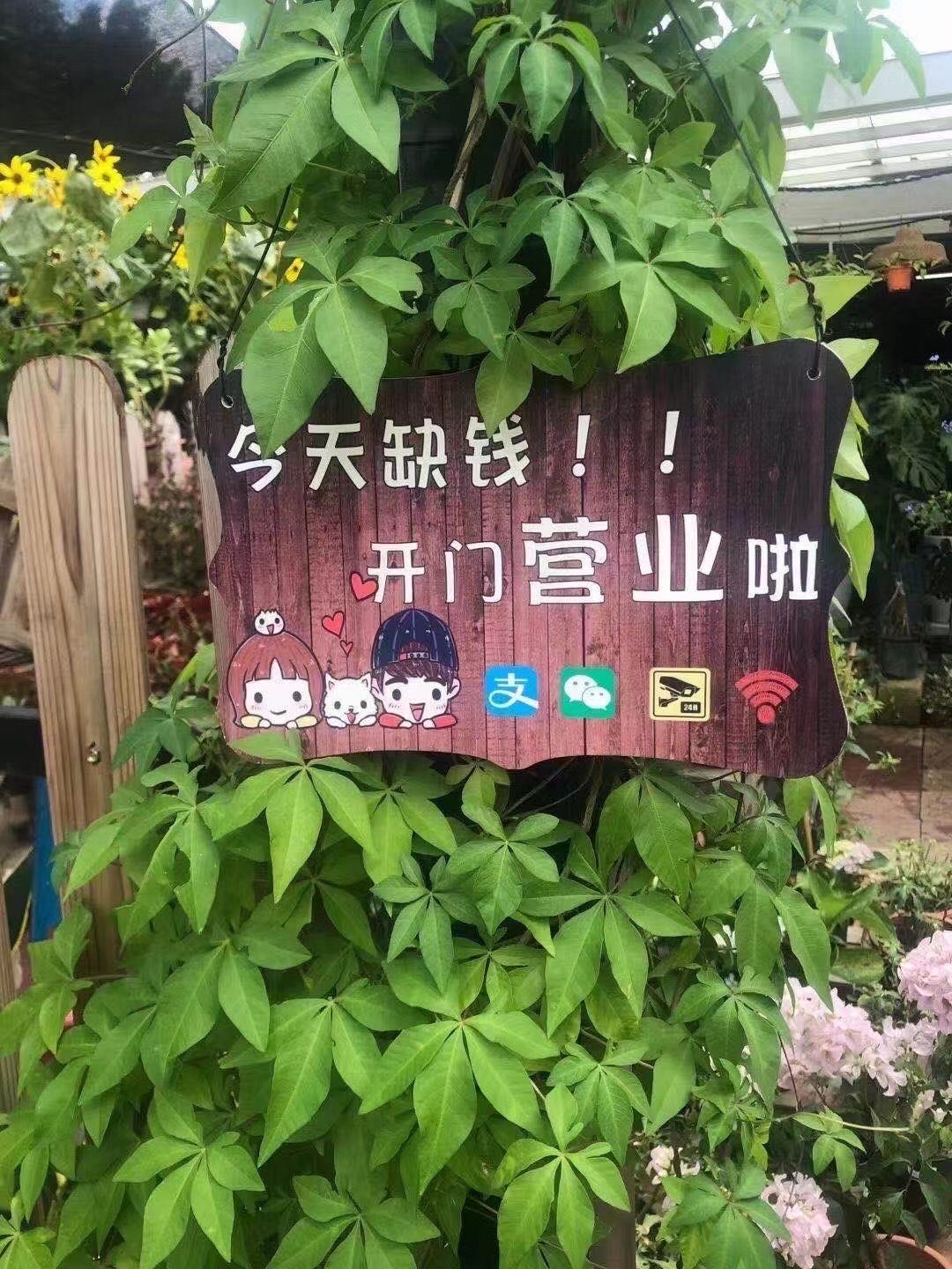 缩略图 2
