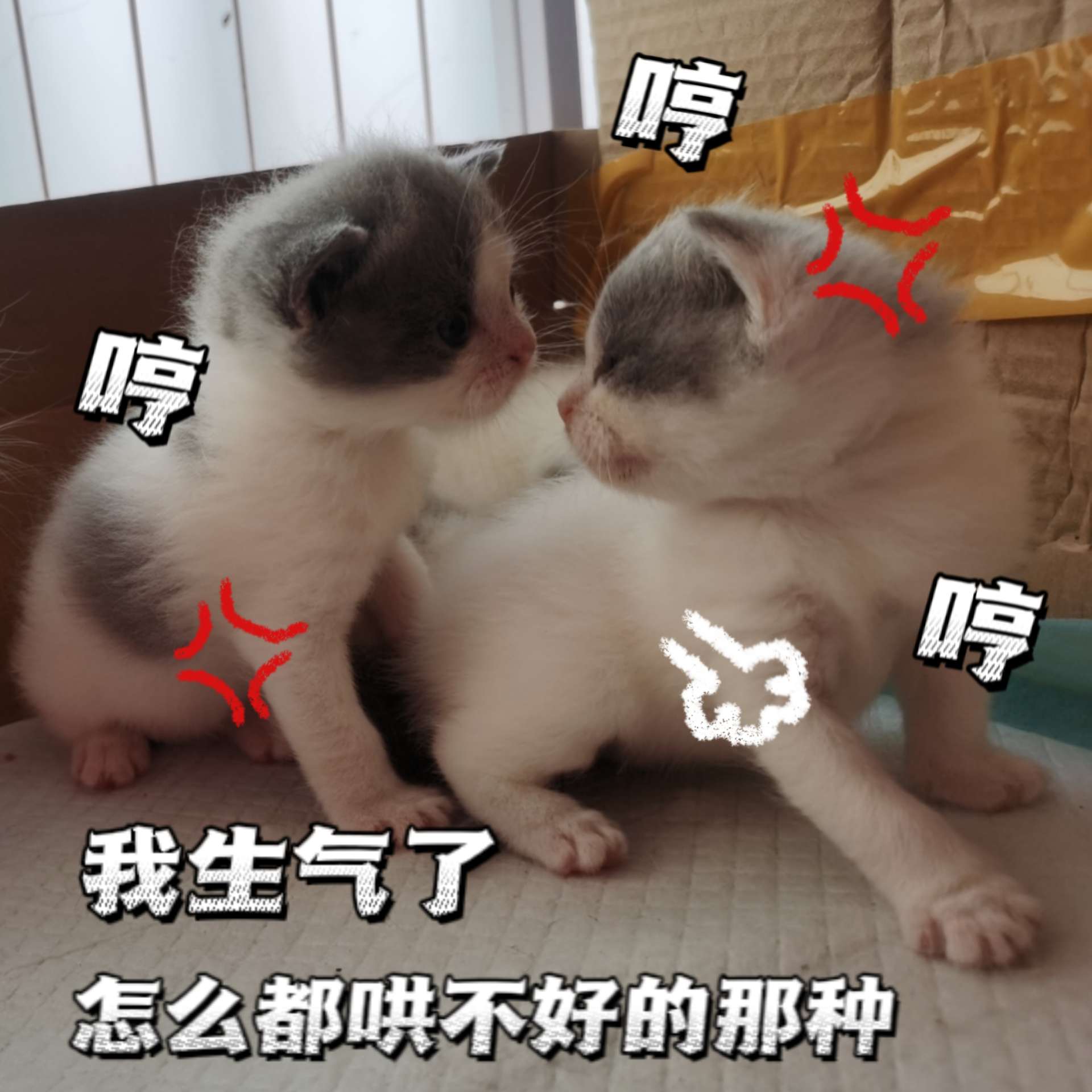 缩略图 3