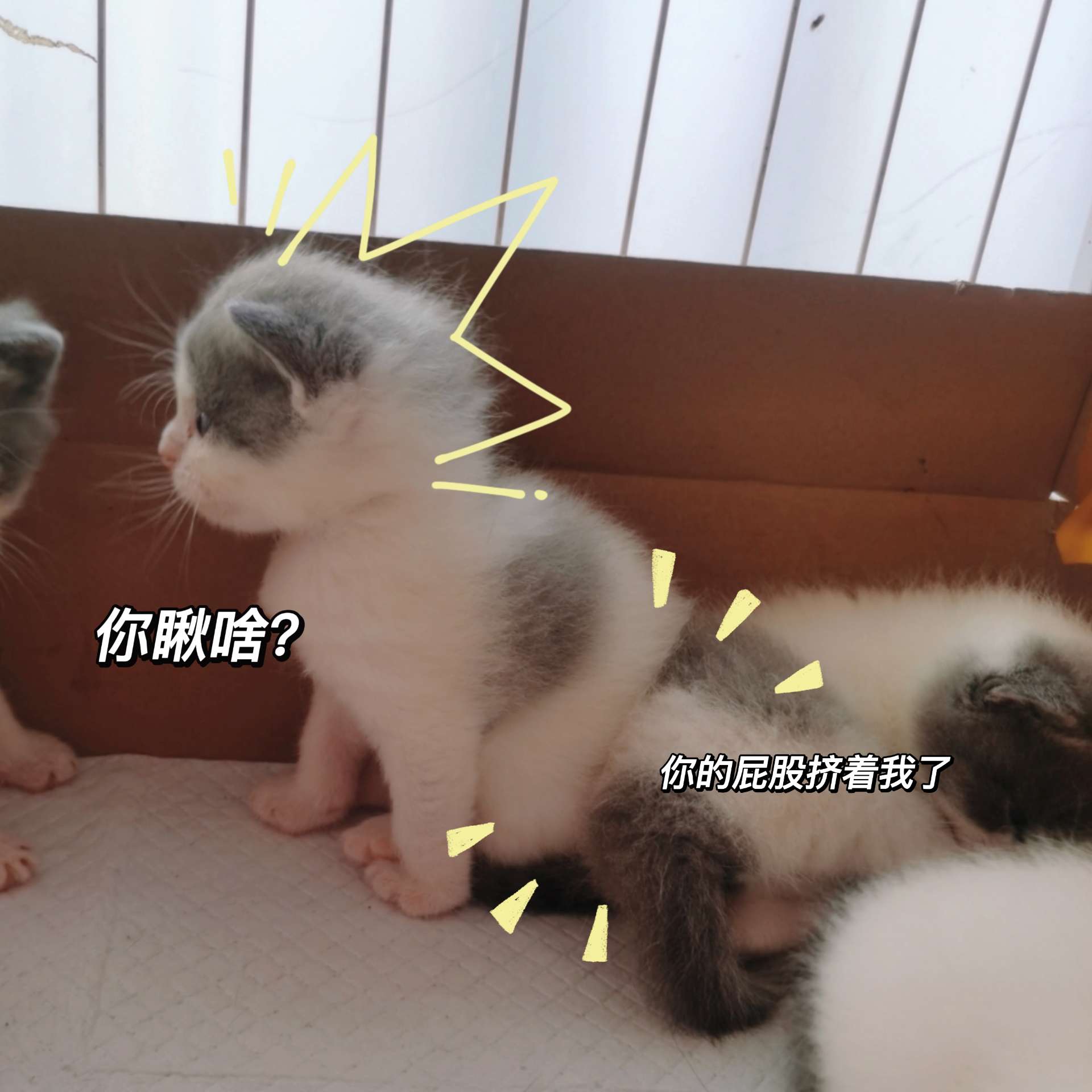 缩略图 4