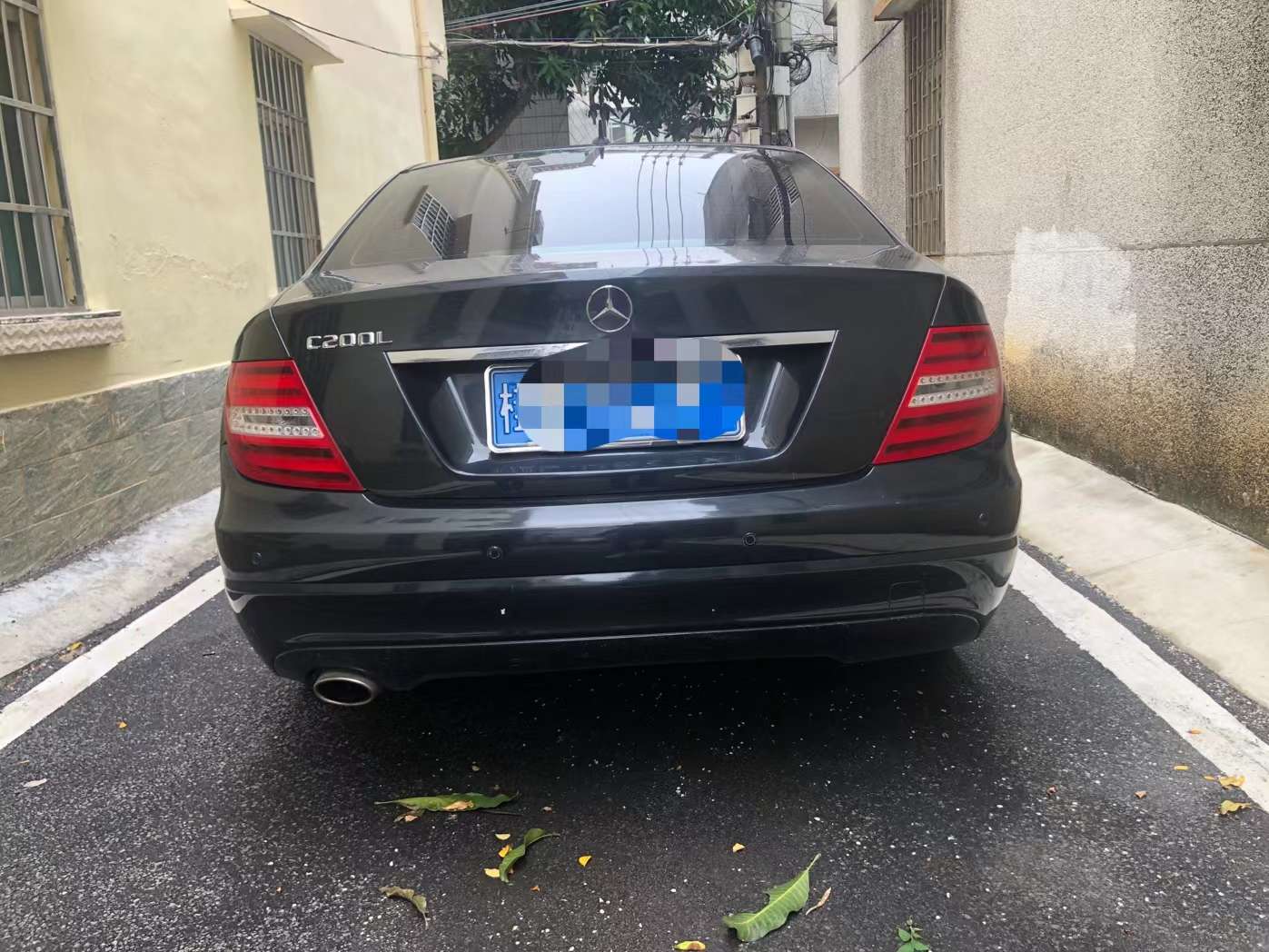 缩略图 8