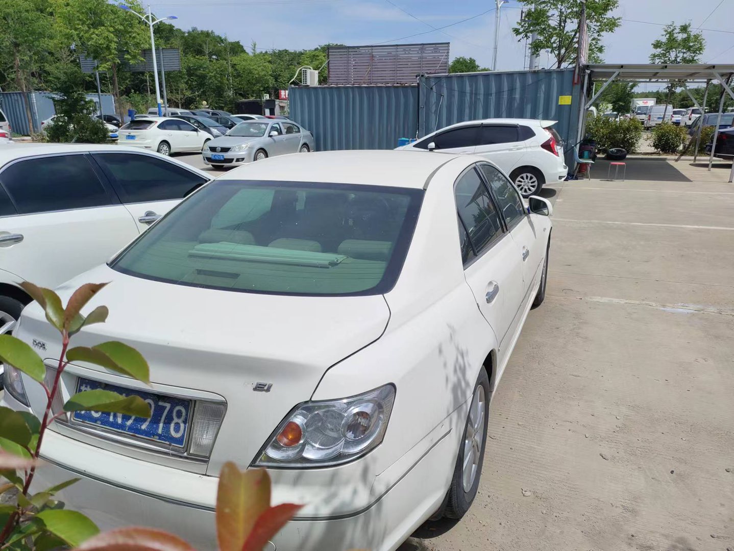 缩略图 5