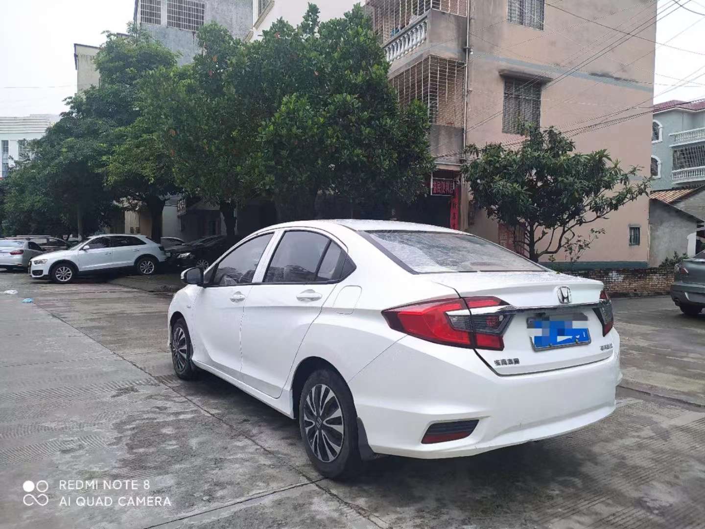 缩略图 8