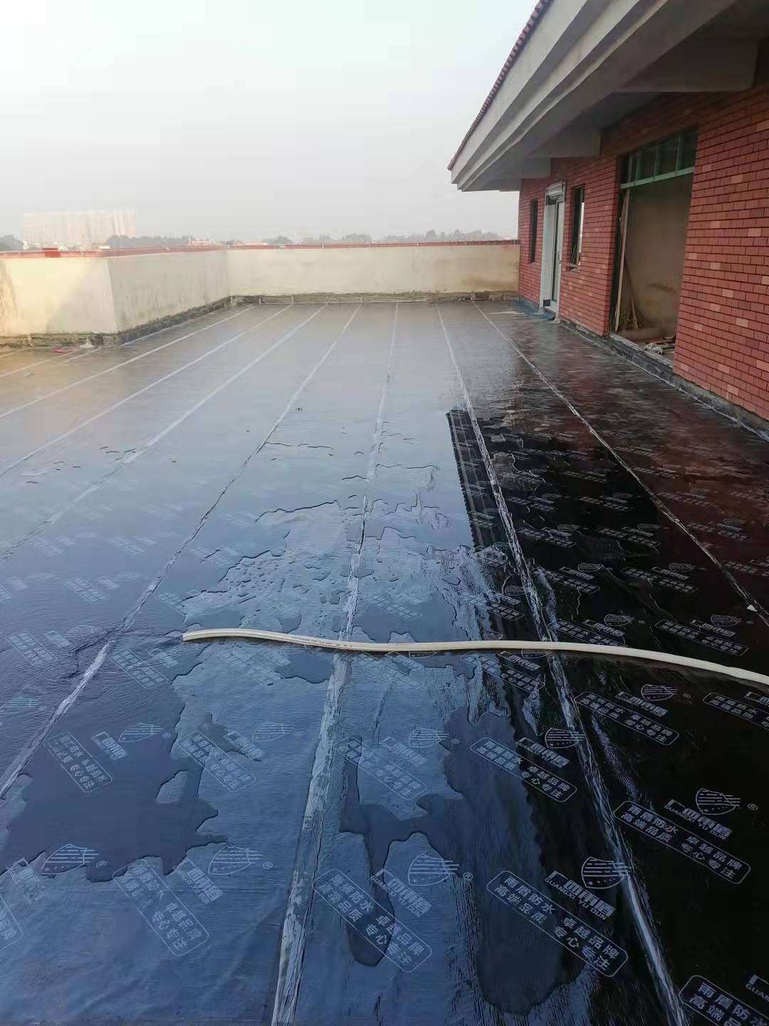 缩略图 2