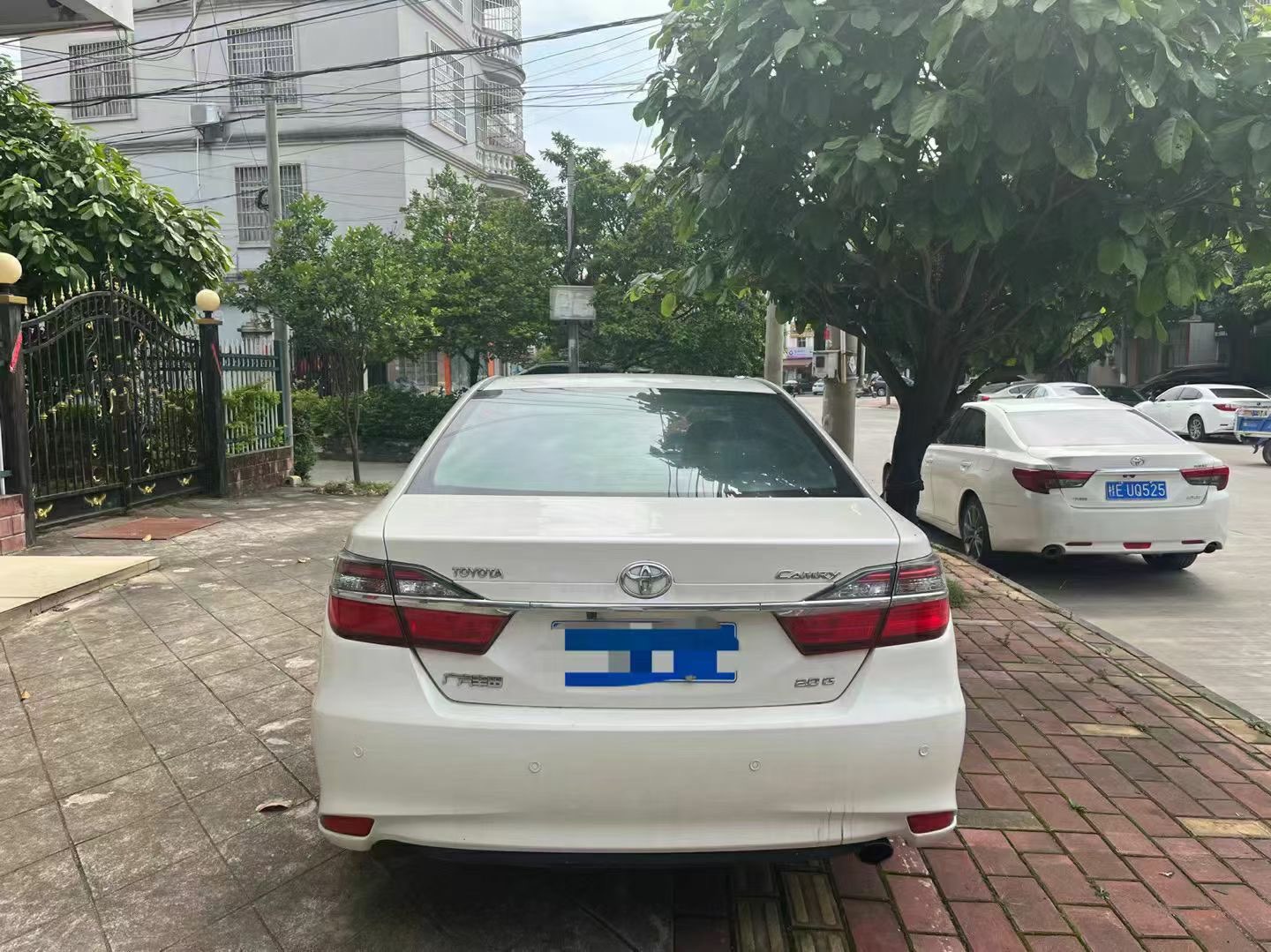 缩略图 9