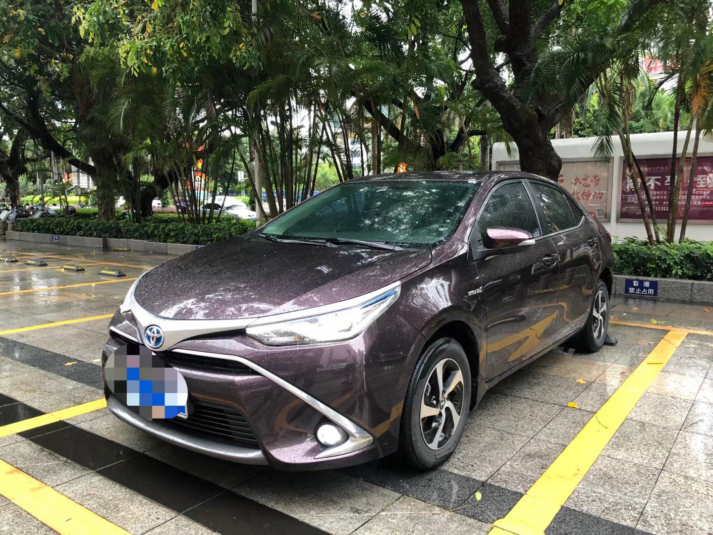缩略图 3