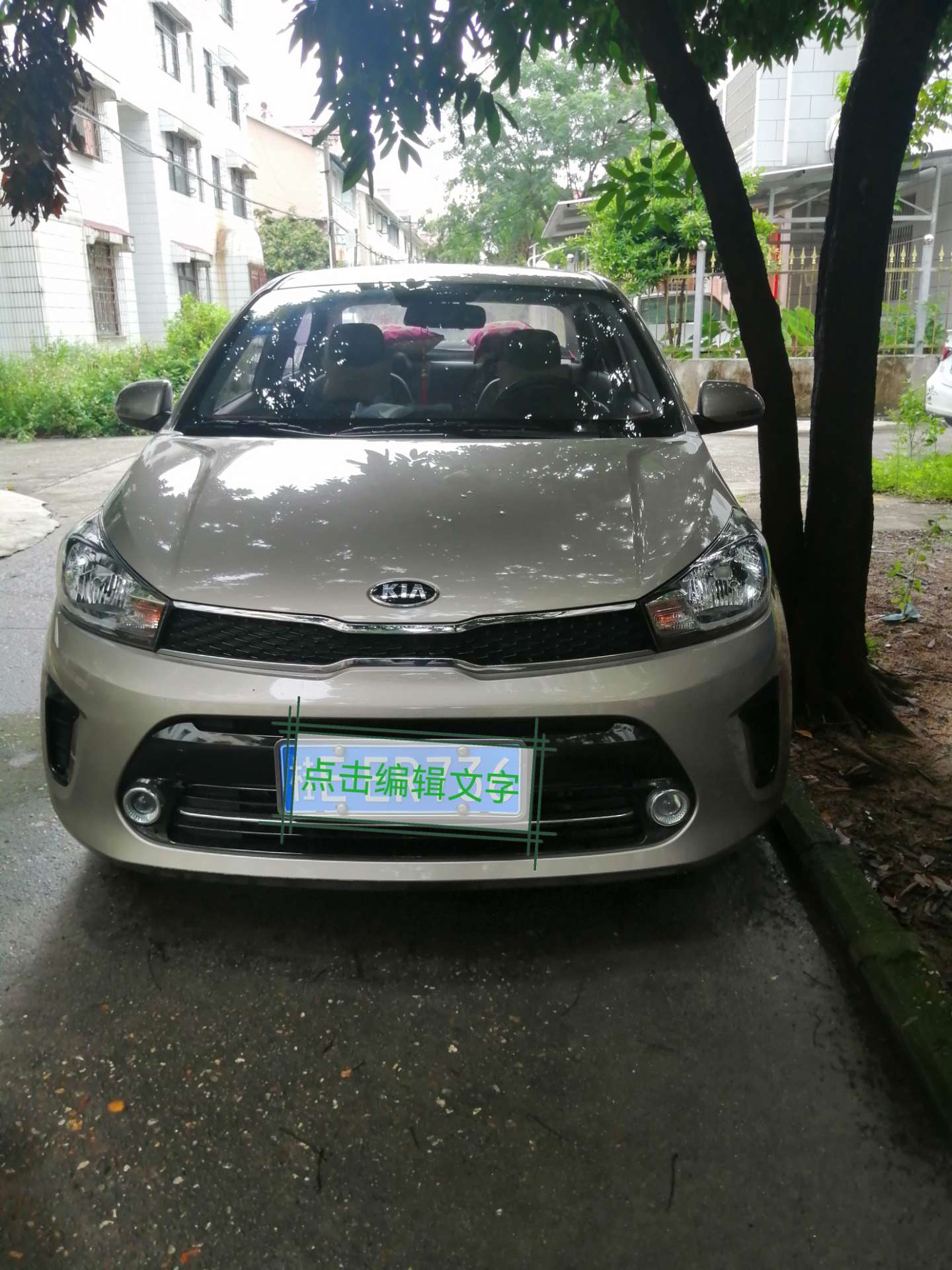 缩略图 2