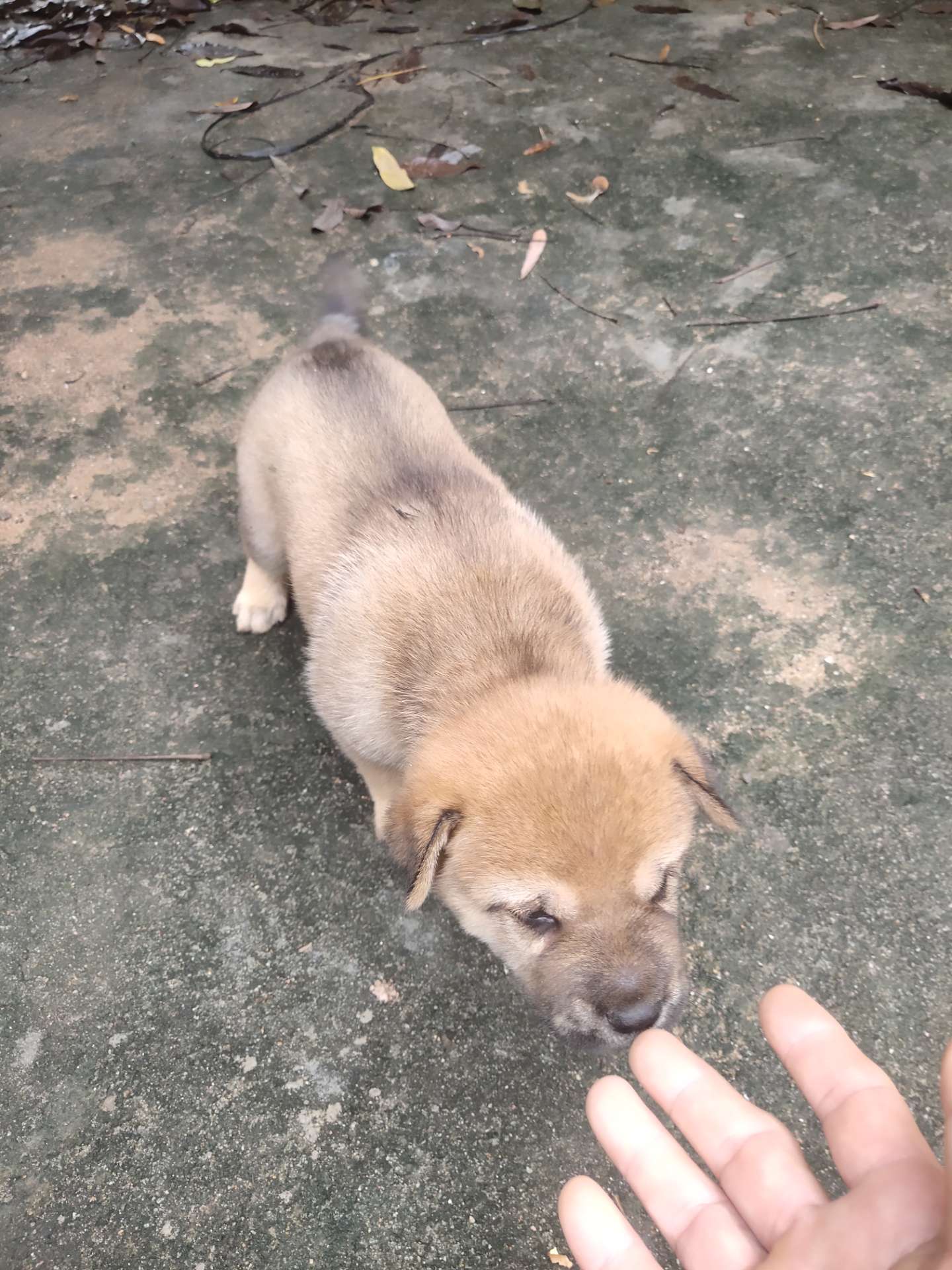 缩略图 9
