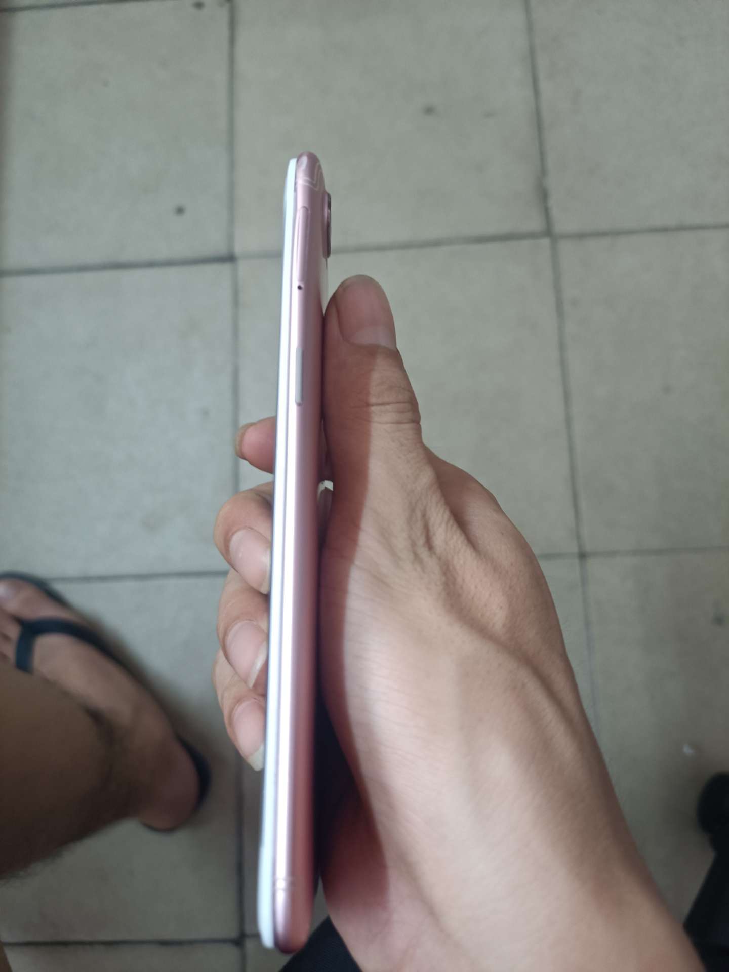 缩略图 5