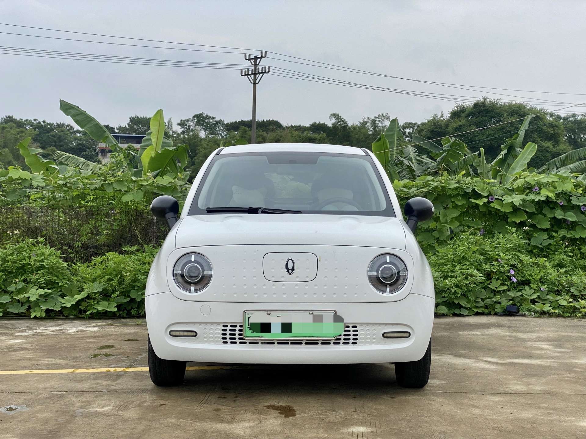 缩略图 2