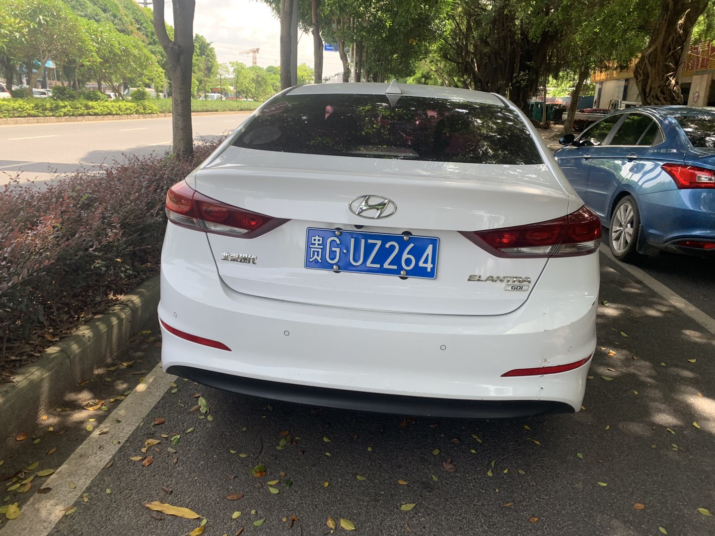 缩略图 6