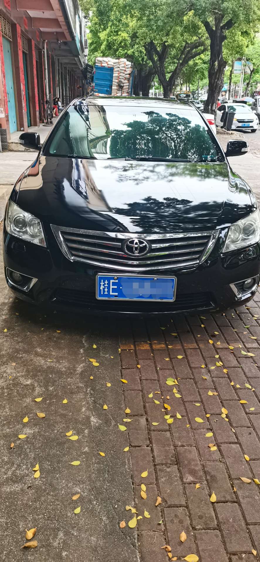 缩略图 2