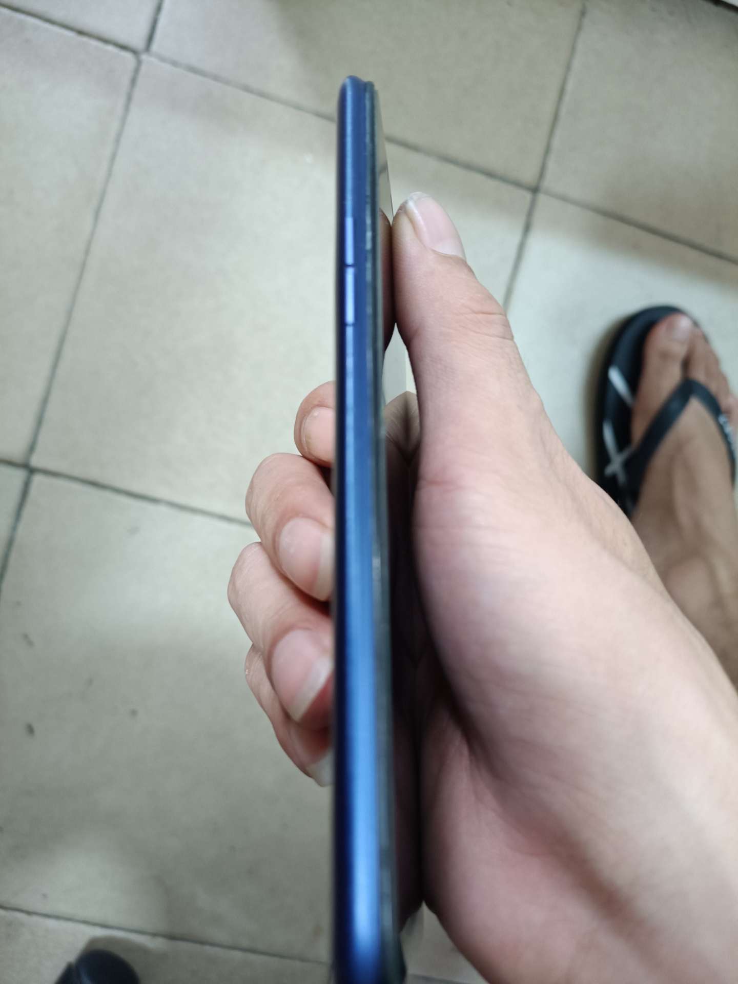 缩略图 5