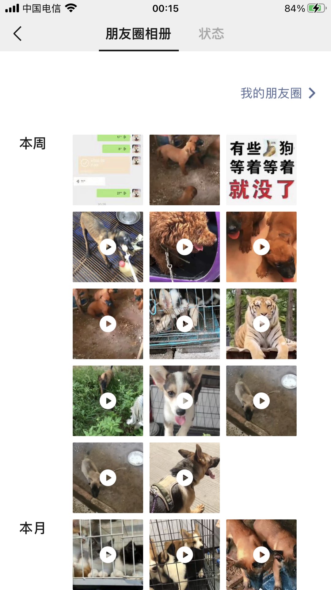 缩略图 3