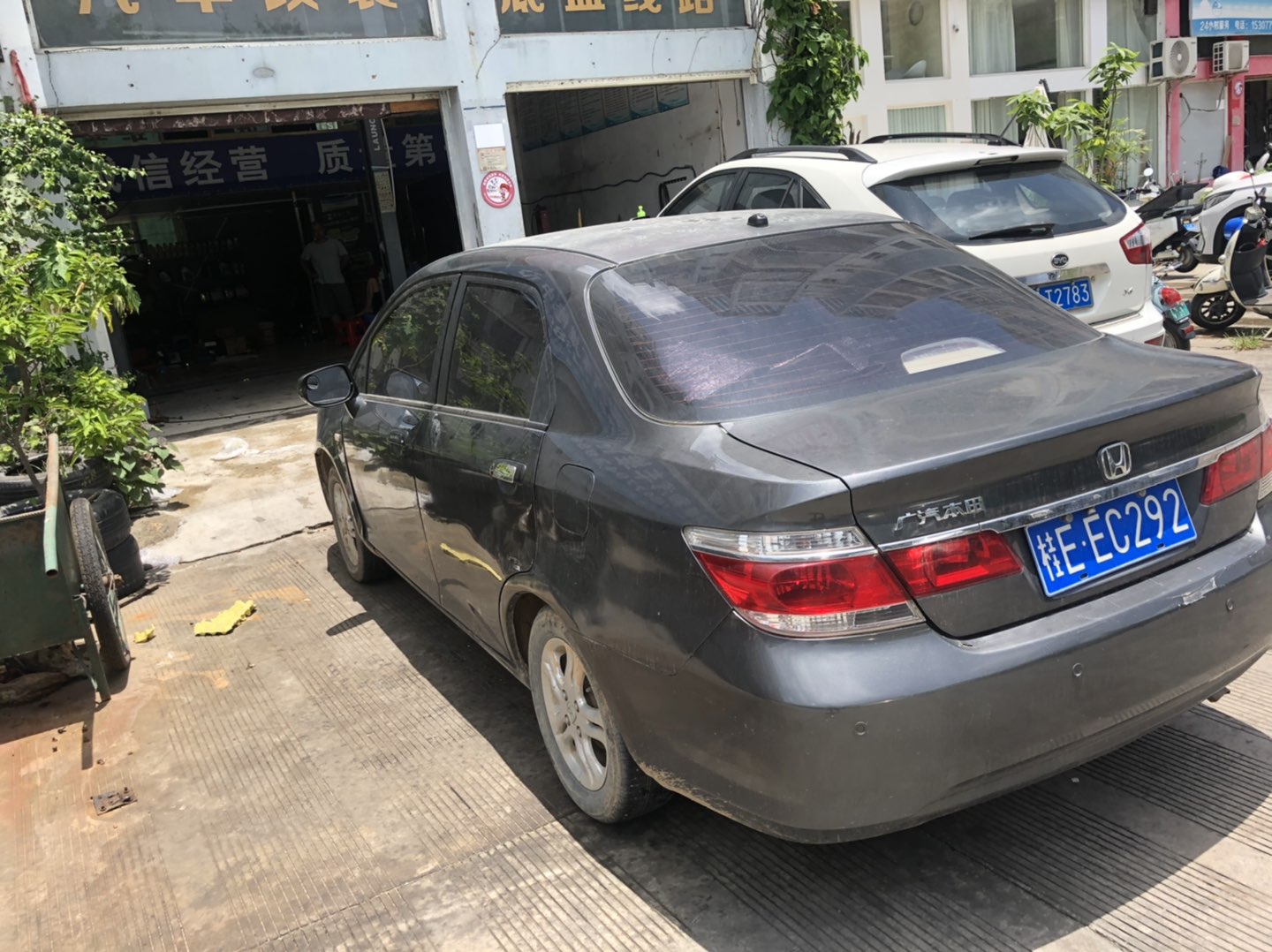 缩略图 5