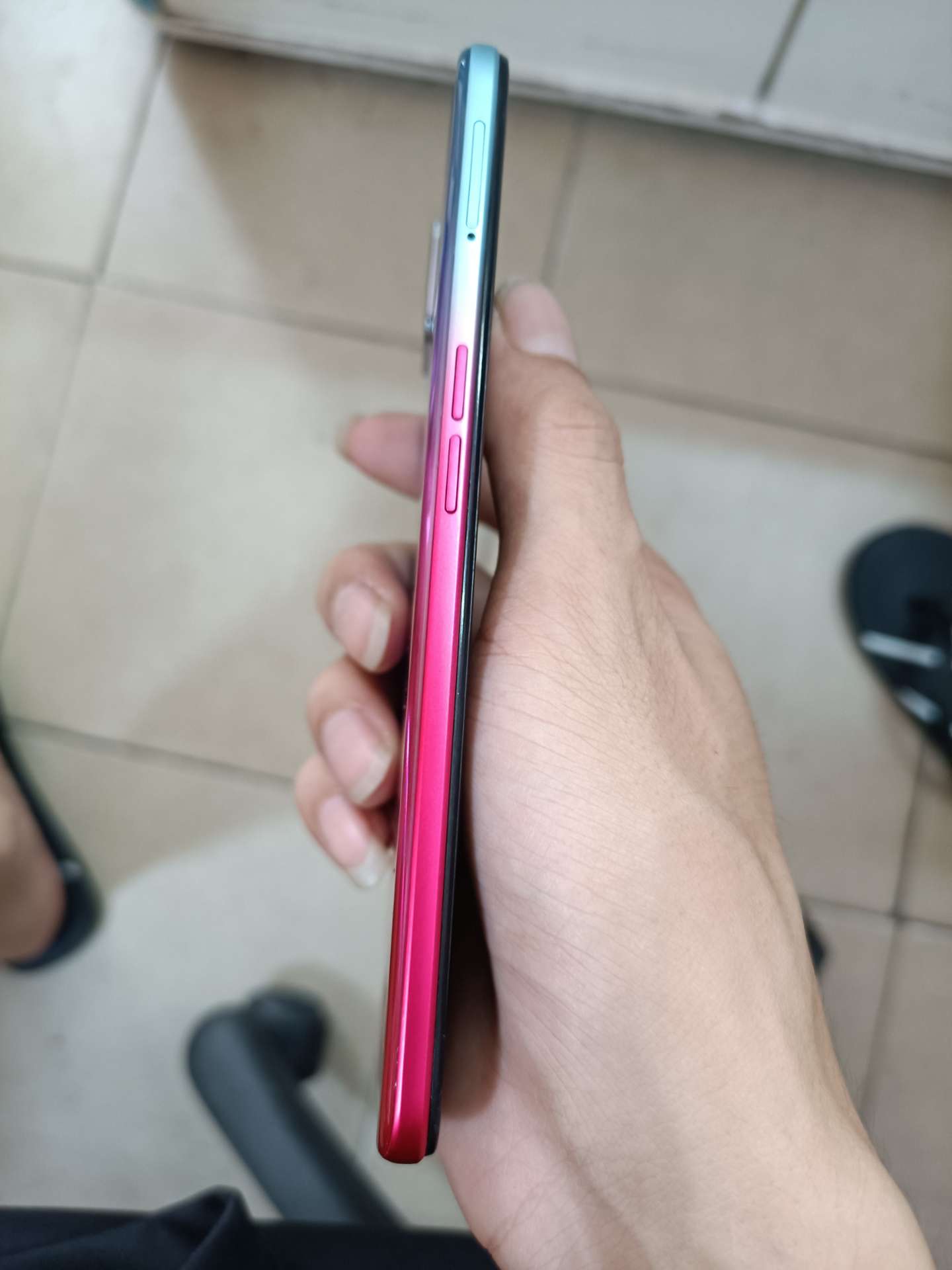 缩略图 5