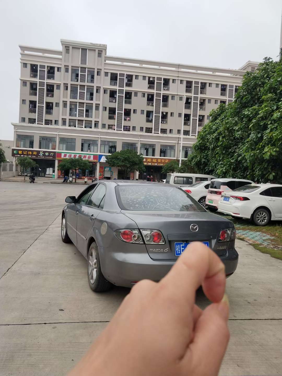 缩略图 5