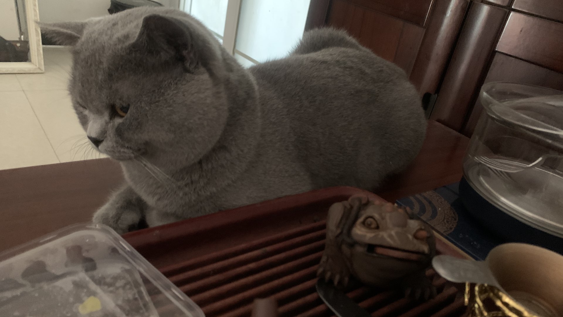 缩略图 2
