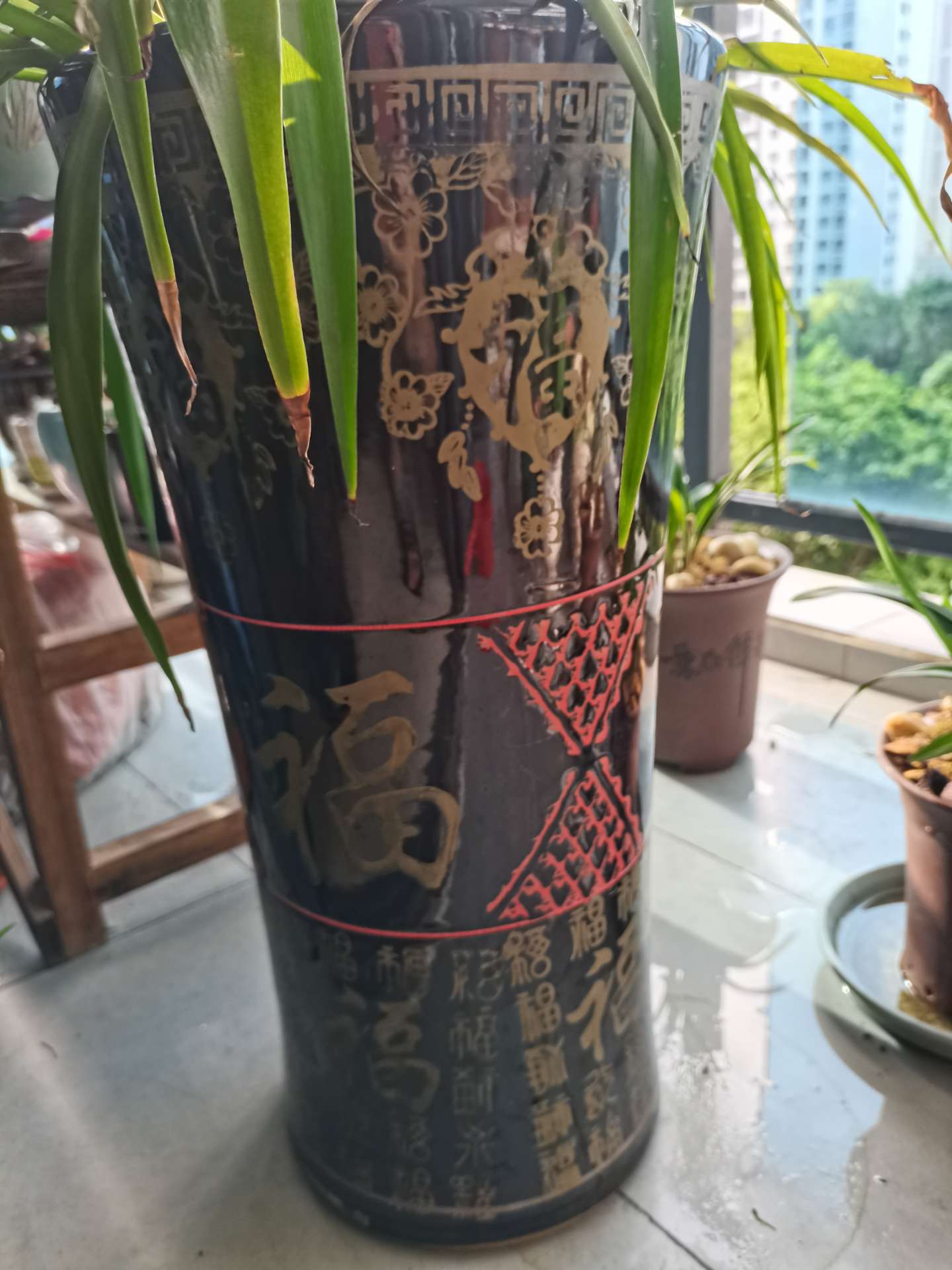 缩略图 3