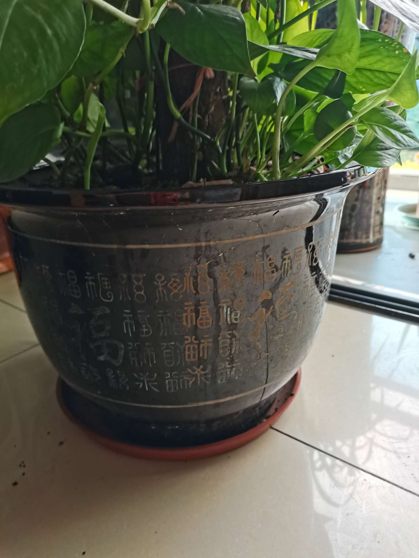 缩略图 2