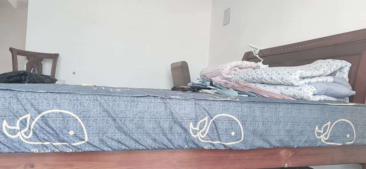 缩略图 3
