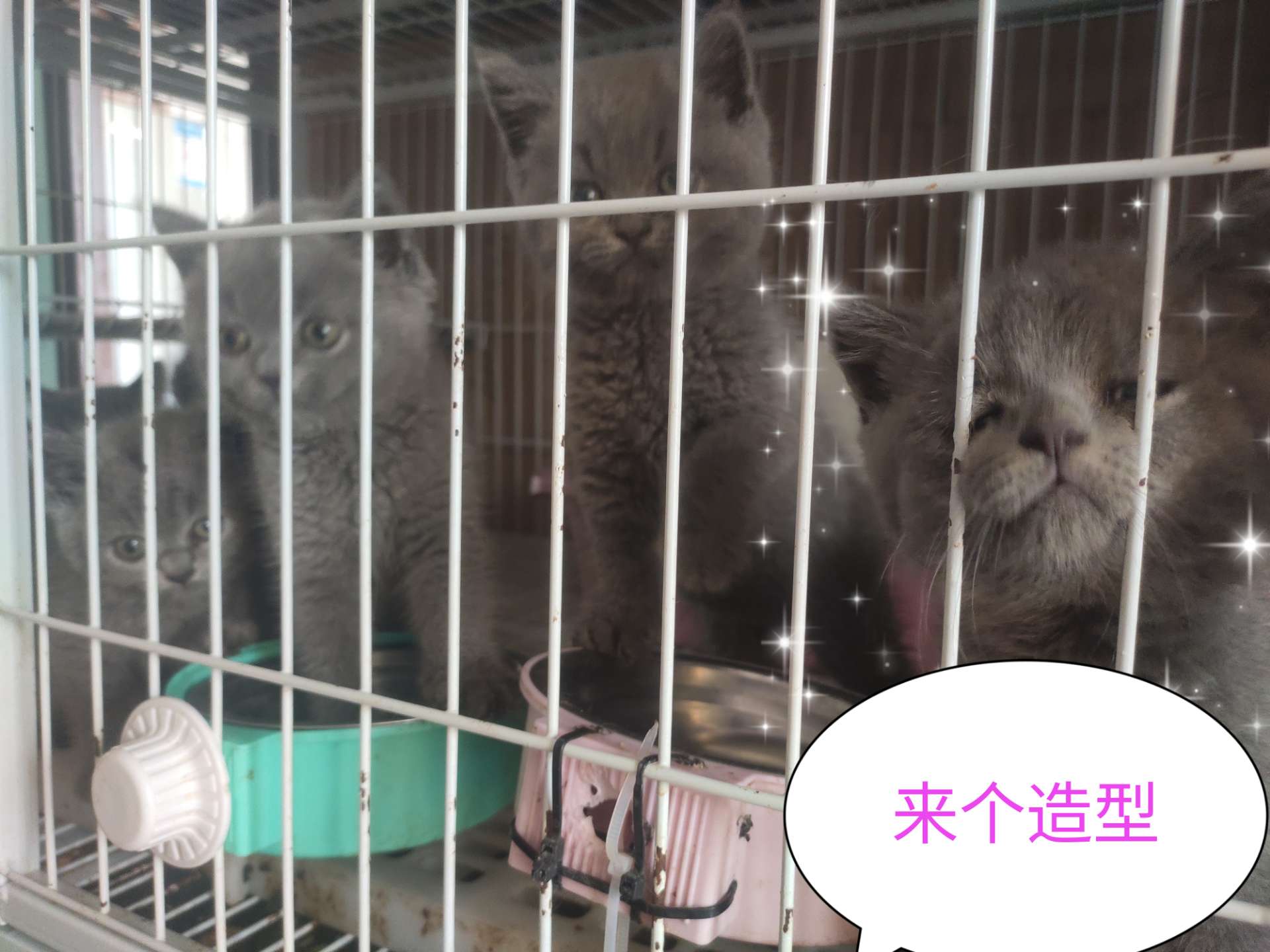 缩略图 9