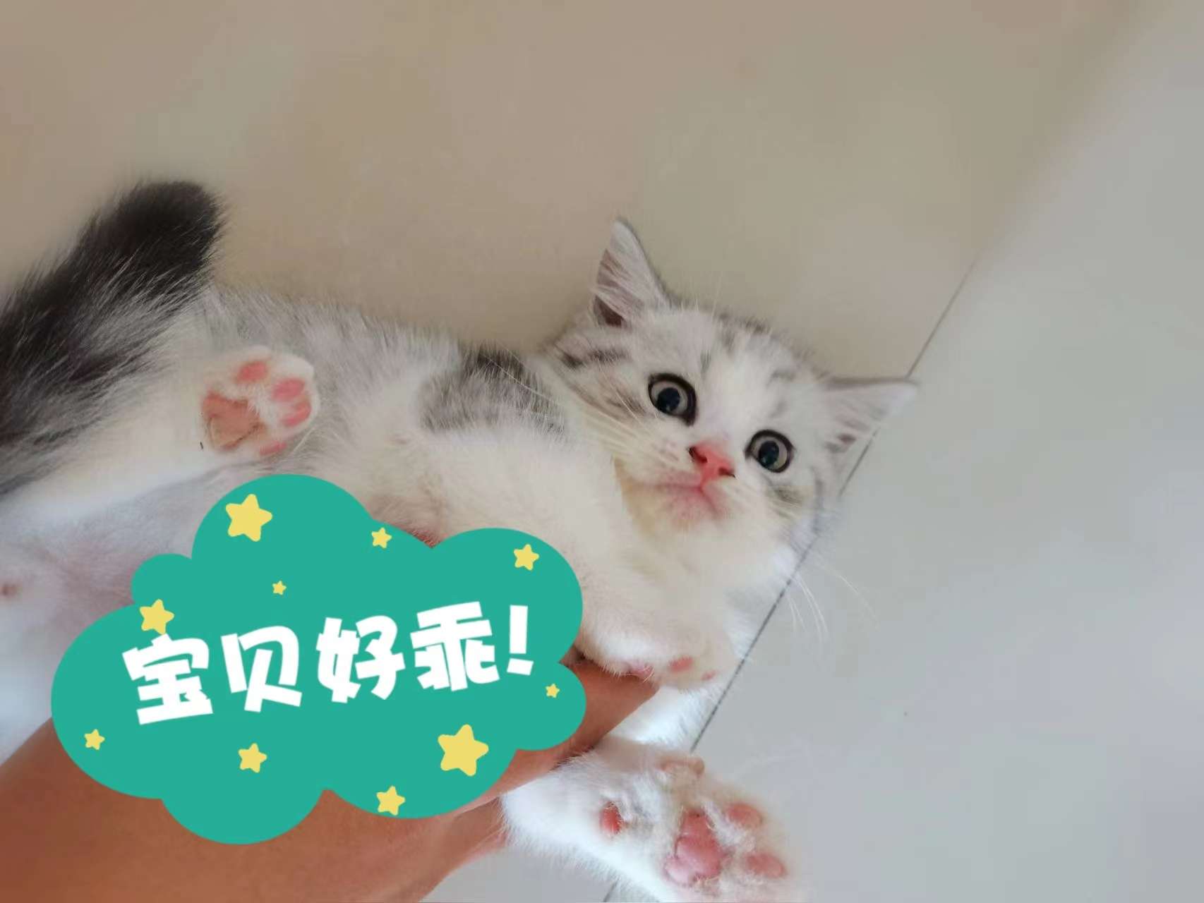 缩略图 4